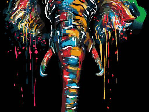 A brightly coloured elephant on a black background, the cover of the loneliness case study
